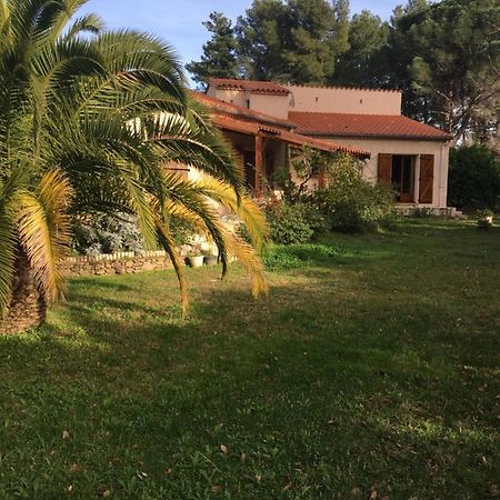 Les Alberes Bed and Breakfast Sorède Buitenkant foto
