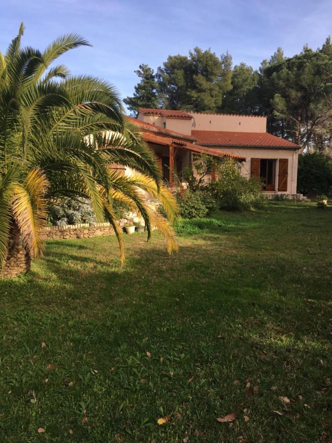 Les Alberes Bed and Breakfast Sorède Buitenkant foto